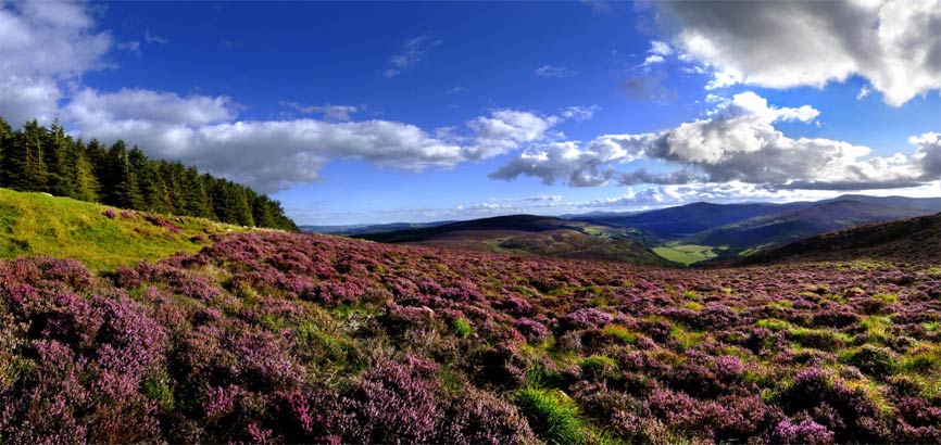 Wicklow Mountains in Zuidoost Ierland